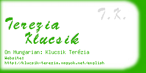 terezia klucsik business card